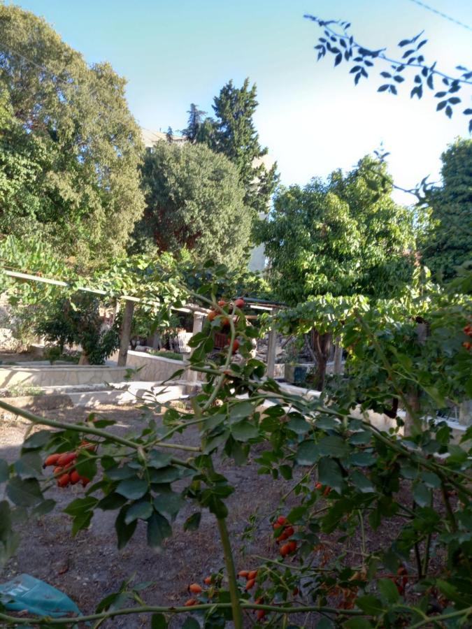 شقة Stone Oasis Vito دوبروفينك المظهر الخارجي الصورة